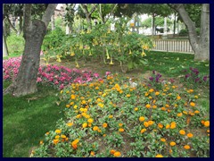 Murcia City Centre South part - Jardin Botánico (Botanical Garden)